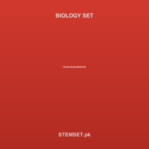 Human Body Model Kit